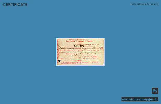 Beispiel einer Geburtsurkunde des englischen Standesamts (Registrar of Births and Deaths)